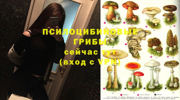 PSILOCYBIN Верхнеуральск